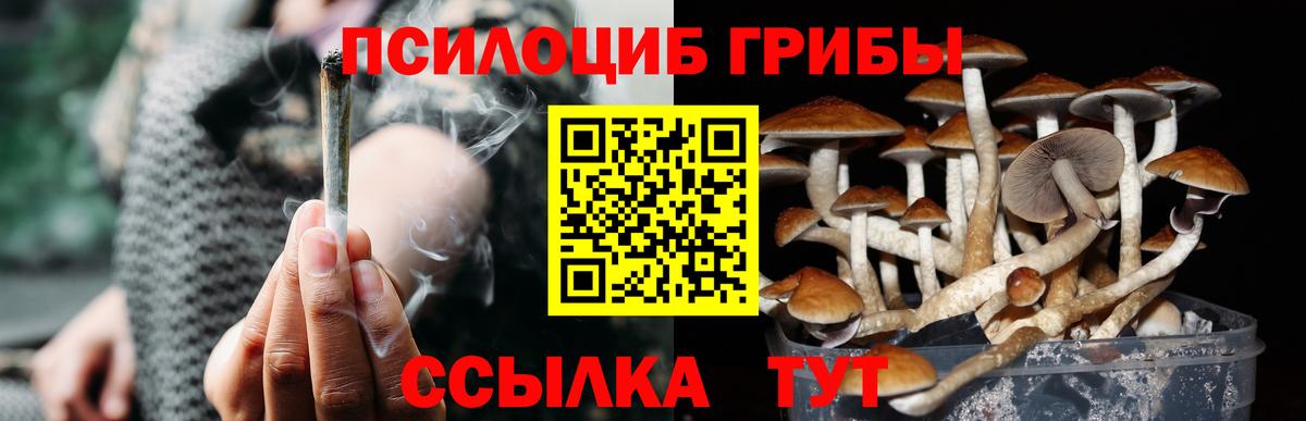 Псилоцибиновые грибы ЛСД Каменск-Шахтинский
